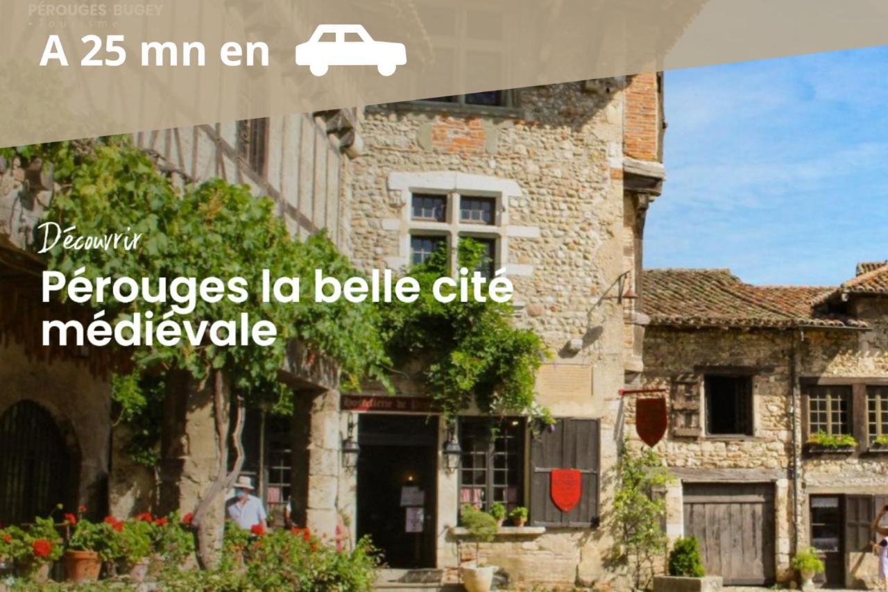 L'Emeraude - 1 A 4P - Wifi Fibre - Parking Gratuit Pont-dʼAin Eksteriør billede