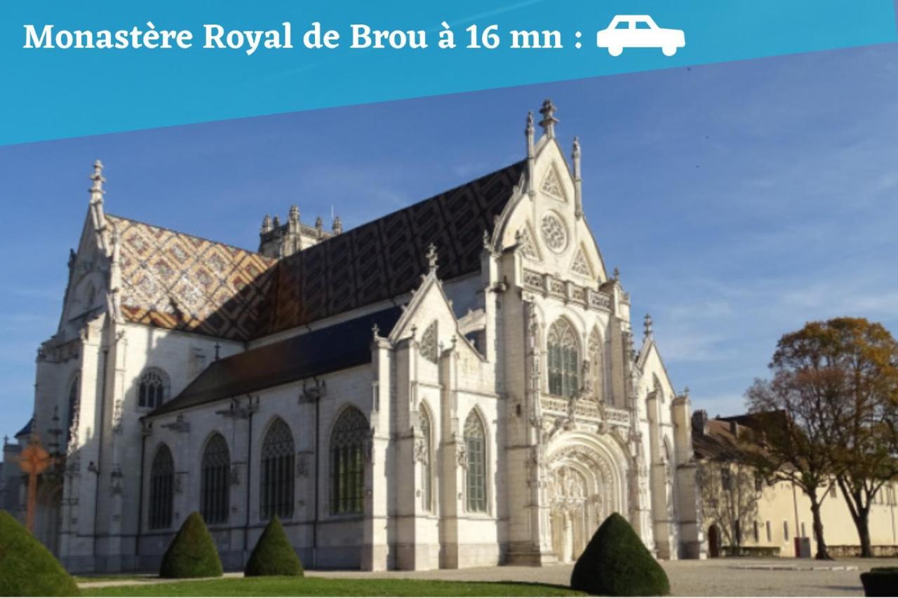L'Emeraude - 1 A 4P - Wifi Fibre - Parking Gratuit Pont-dʼAin Eksteriør billede