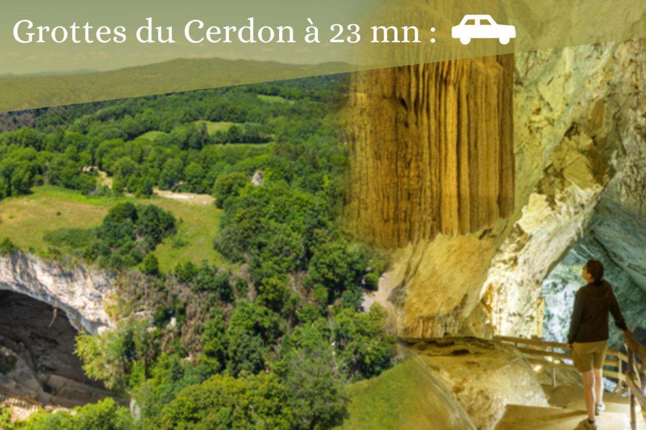L'Emeraude - 1 A 4P - Wifi Fibre - Parking Gratuit Pont-dʼAin Eksteriør billede