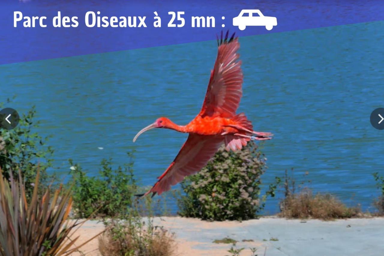 L'Emeraude - 1 A 4P - Wifi Fibre - Parking Gratuit Pont-dʼAin Eksteriør billede